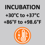 Incubation Temperature